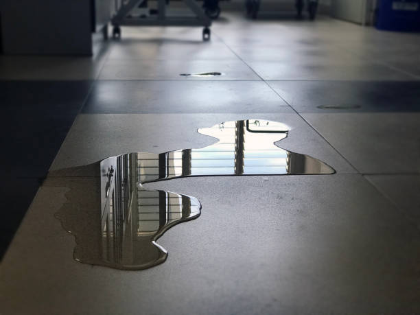 Best Water damage cleanup near me  in Hayfork, CA