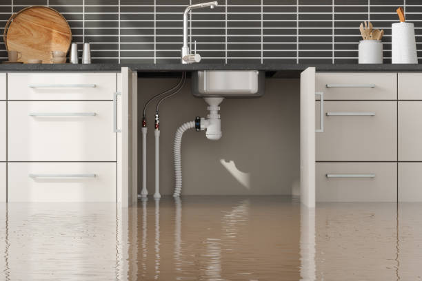 Best Water damage restoration near me  in Hayfork, CA