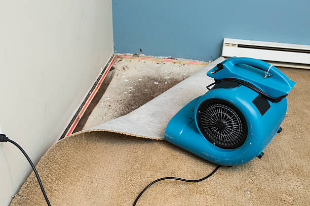 Best Flood restoration services  in Hayfork, CA