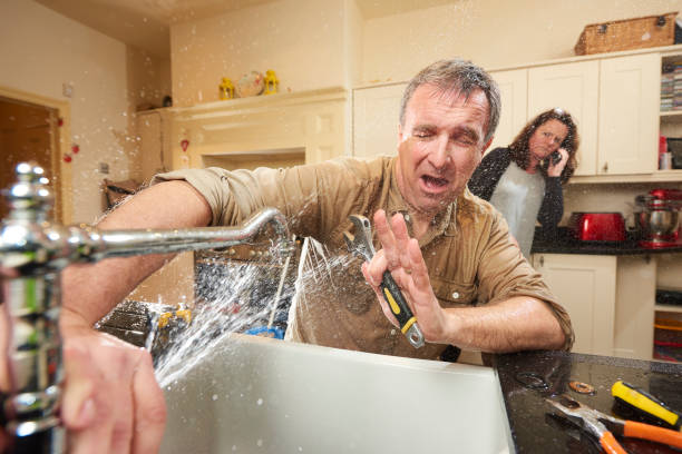 Best Local water damage restoration  in Hayfork, CA